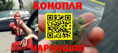 шишки Пенза