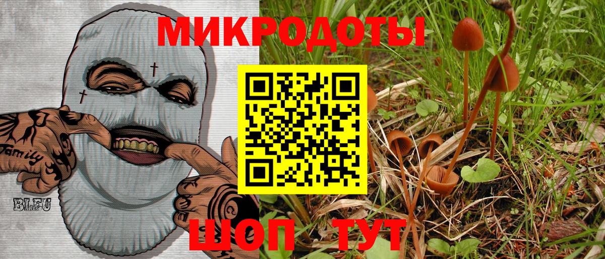 Сорочинск  Псилоцибиновые грибы GOLDEN TEACHER  Вход с VPN 
