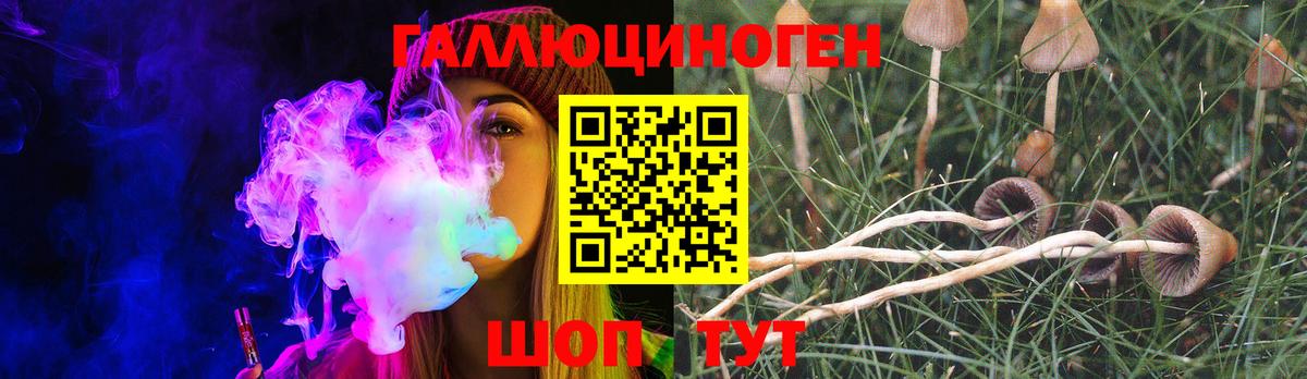 Псилоцибиновые грибы MAGIC MUSHROOMS Сорочинск